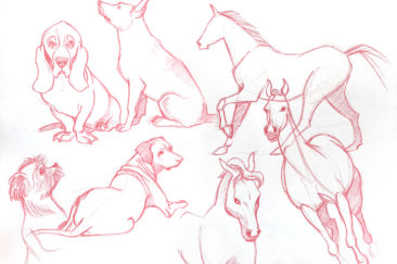 animals sketches