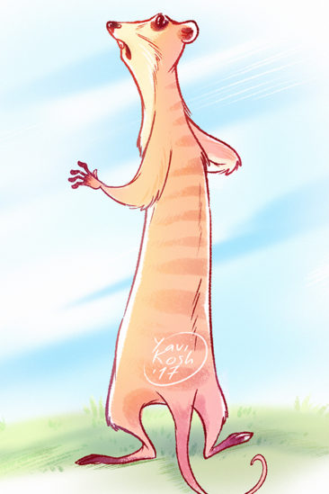 raster sketch with lonely meerkat